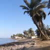 Dahab